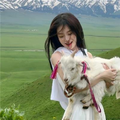 驶向达尔文