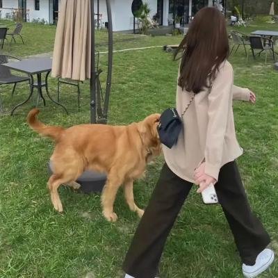 猎毒者2